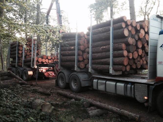 larch fencing timber loaded