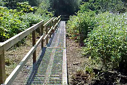 cofton lake boardwalk flow forge