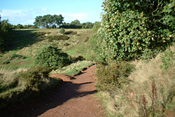 footpath restoration adam hill