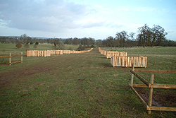 hanbury hall sustainable Tree Guards