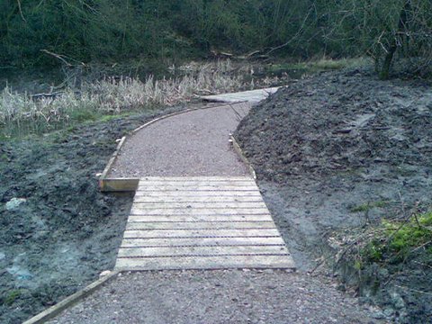 pond dipping 01