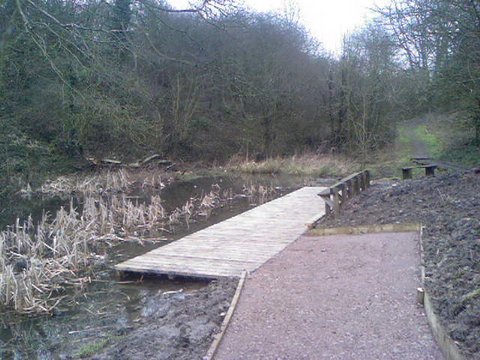 pond dipping 02