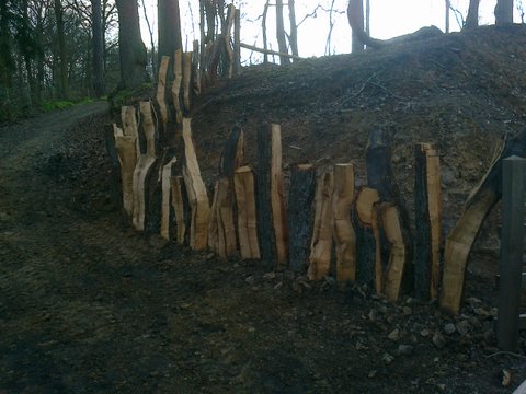 wyre forest cleft oak fence