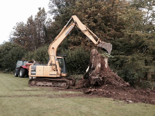 stump removal